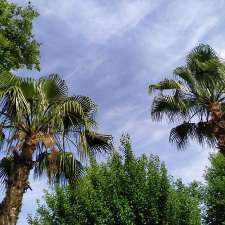 Olympos Yavuz Hotel Çıralı Exterior foto