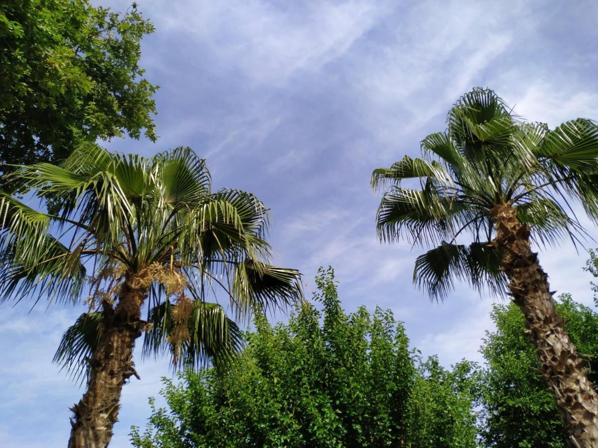 Olympos Yavuz Hotel Çıralı Exterior foto